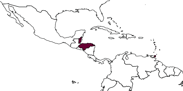 map of Trichogrammatoidea nana     (Zehntner)